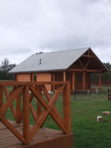 Zanda Protector Pilka 1