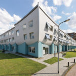 Cedral 9