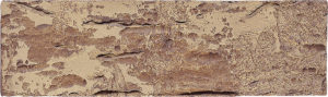 Old_Castle_HF23_African-soul